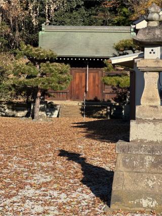 白鬚神社の参拝記録(こーちんさん)