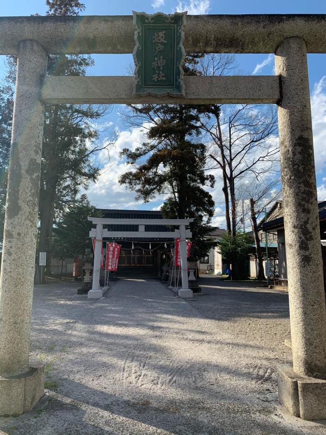 坂戸神社の参拝記録(しえるさん)
