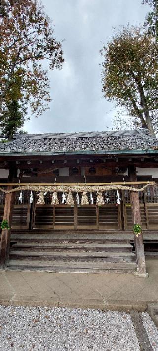 坂戸神社の参拝記録(まーぼーさん)