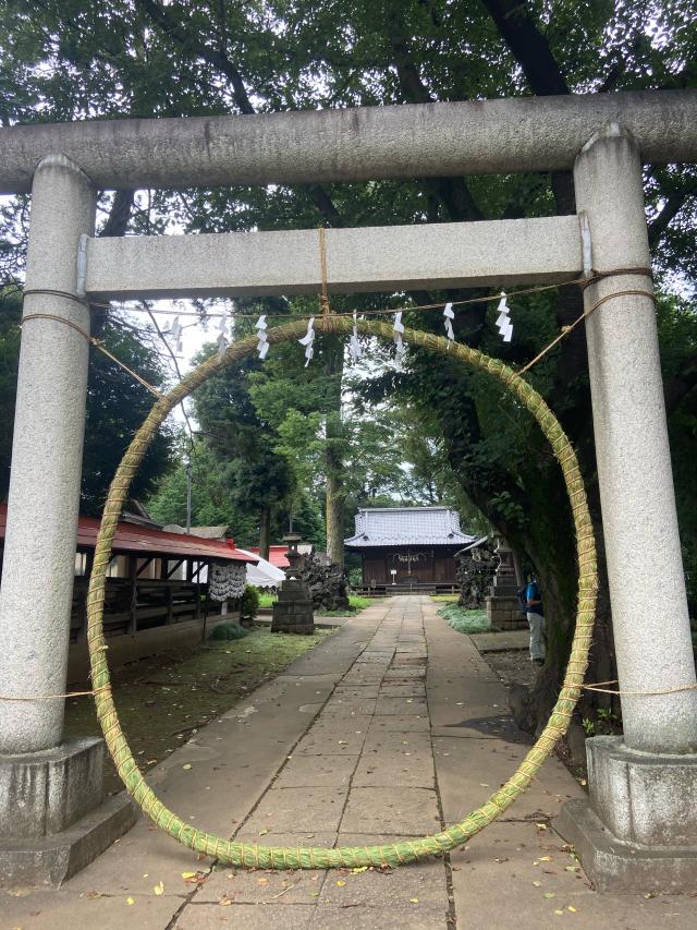 大井氷川神社の参拝記録(たくちゃんさん)