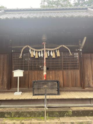 大井氷川神社の参拝記録(たくちゃんさん)