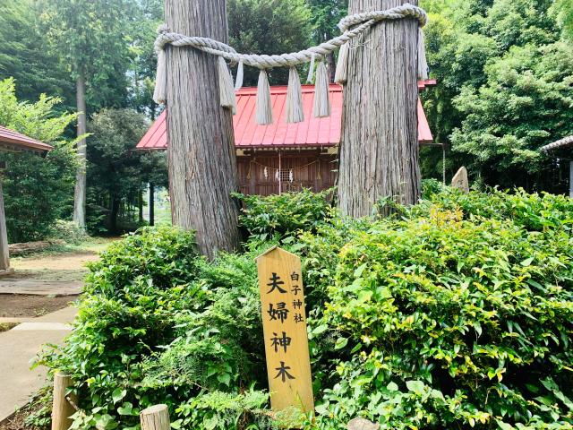 白子神社の参拝記録3