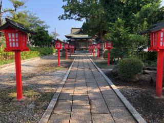 八幡神社の参拝記録(こーちんさん)