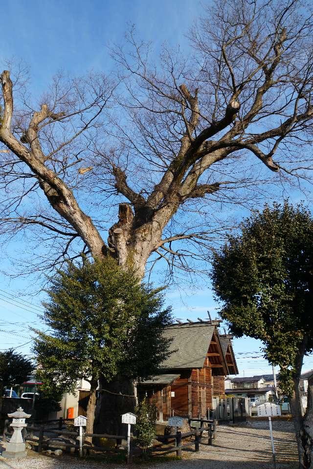 神明神社の参拝記録1