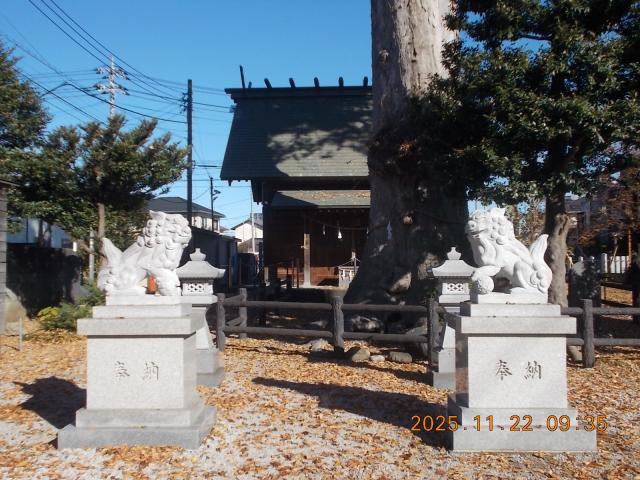 埼玉県飯能市川寺392 神明神社の写真2