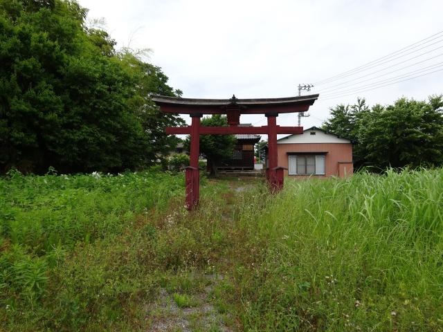埼玉県加須市大越1534 八幡神社の写真1