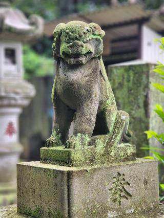 赤城神社の参拝記録(たけちゃ～ん⚾さん)