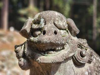 諏訪神社の参拝記録(たけちゃ～ん⚾さん)