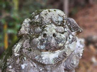 諏訪神社の参拝記録(たけちゃ～ん⚾さん)