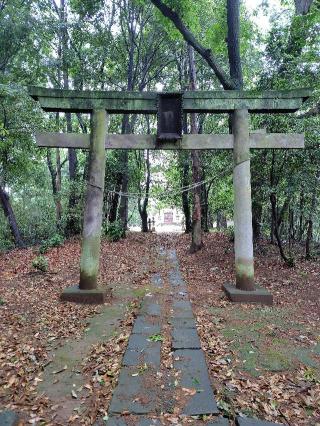 八幡神社（熊谷市平塚新田）の参拝記録(zx14rさん)