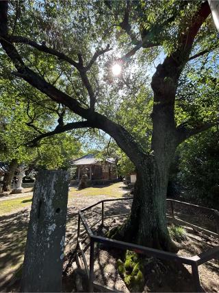 豊布都神社の参拝記録(こうさん)