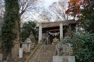 伊奈利神社の参拝記録(thonglor17さん)