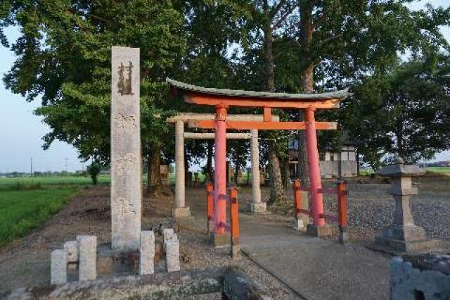 埼玉県加須市戸崎２３８８ 諏訪神社の写真1