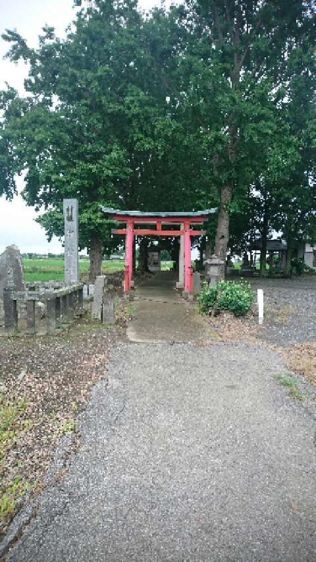 埼玉県加須市戸崎２３８８ 諏訪神社の写真2