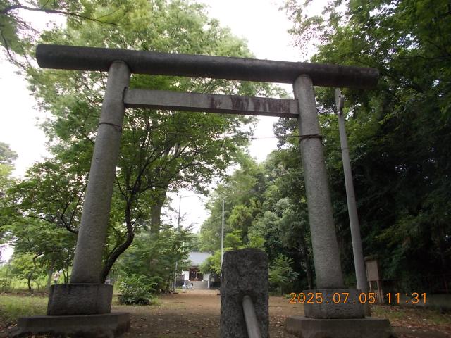 埼玉県本庄市中央3-4-38 阿夫利天神社の写真3