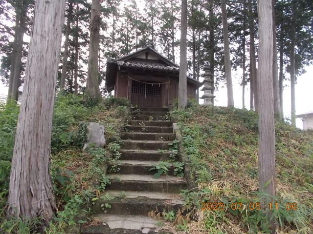 埼玉県本庄市小島4-4-14 諏訪神社の写真2