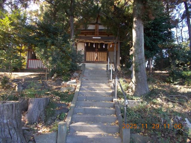 埼玉県本庄市栗崎152 金鑽神社の写真3