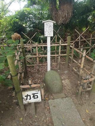 若宮八幡神社（加須市北下新井）の参拝記録(zx14rさん)