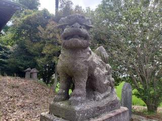 鷲神社の参拝記録(さとみさん)