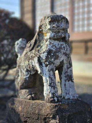 鷲神社(向古河)の参拝記録(たけちゃ～ん⚾さん)