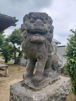 鷲神社の参拝記録(さとみさん)