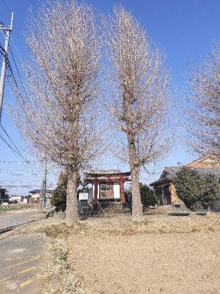 鷲神社の参拝記録(さとみさん)