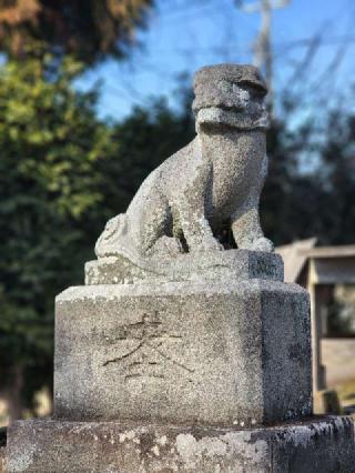鷲神社の参拝記録(たけちゃ～ん⚾さん)