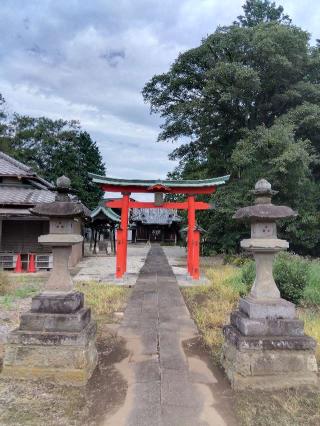 久伊豆神社(真福寺)の参拝記録(ブッチャーさん)