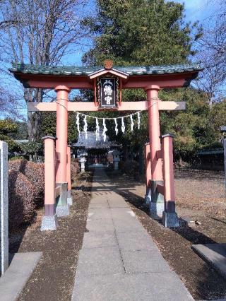 八幡神社（岩槻区尾ケ崎）の参拝記録(ブッチャーさん)