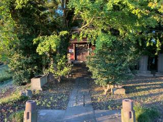 八幡神社（熊谷市津田）の参拝記録(レモンサワーさん)