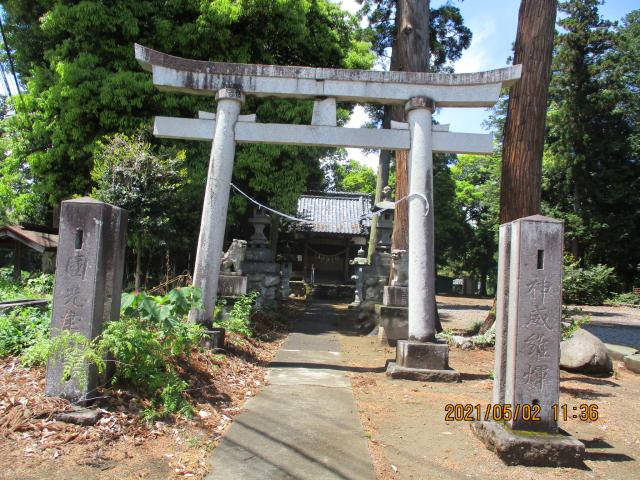 埼玉県熊谷市塩142-1 八幡神社（熊谷市塩）の写真3