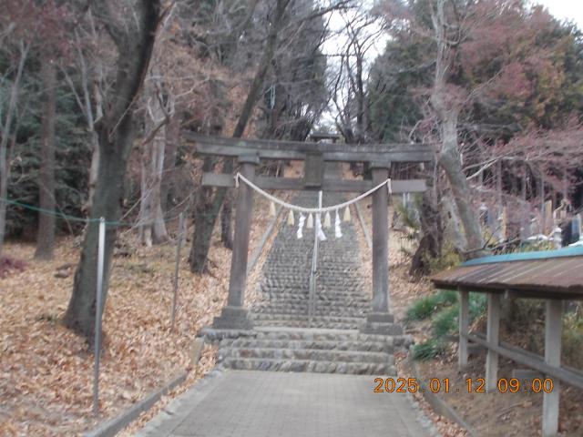 埼玉県深谷市人見1404 浅間神社の写真6