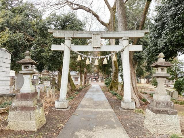 八幡神社（深谷市上野台）の参拝記録5