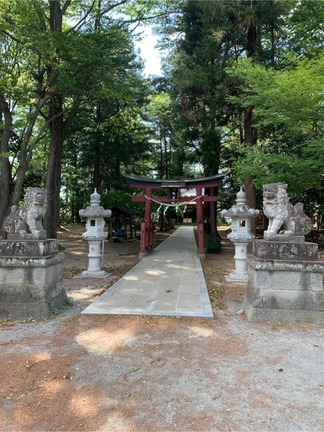 八幡神社（深谷市上野台）の参拝記録9