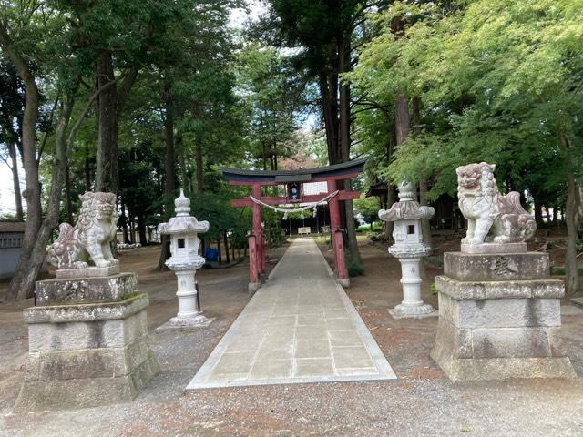 八幡神社（深谷市上野台）の参拝記録4