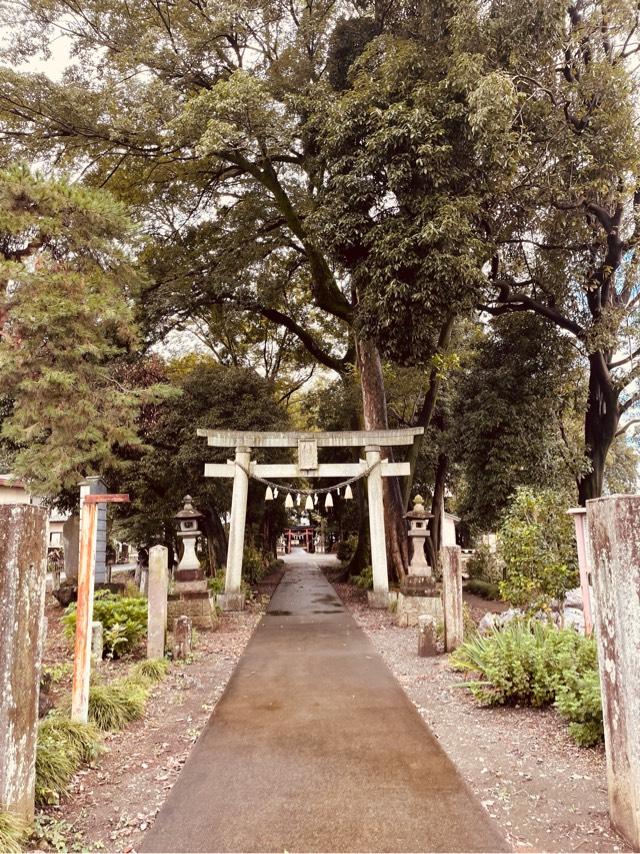 八幡神社（深谷市上野台）の参拝記録7