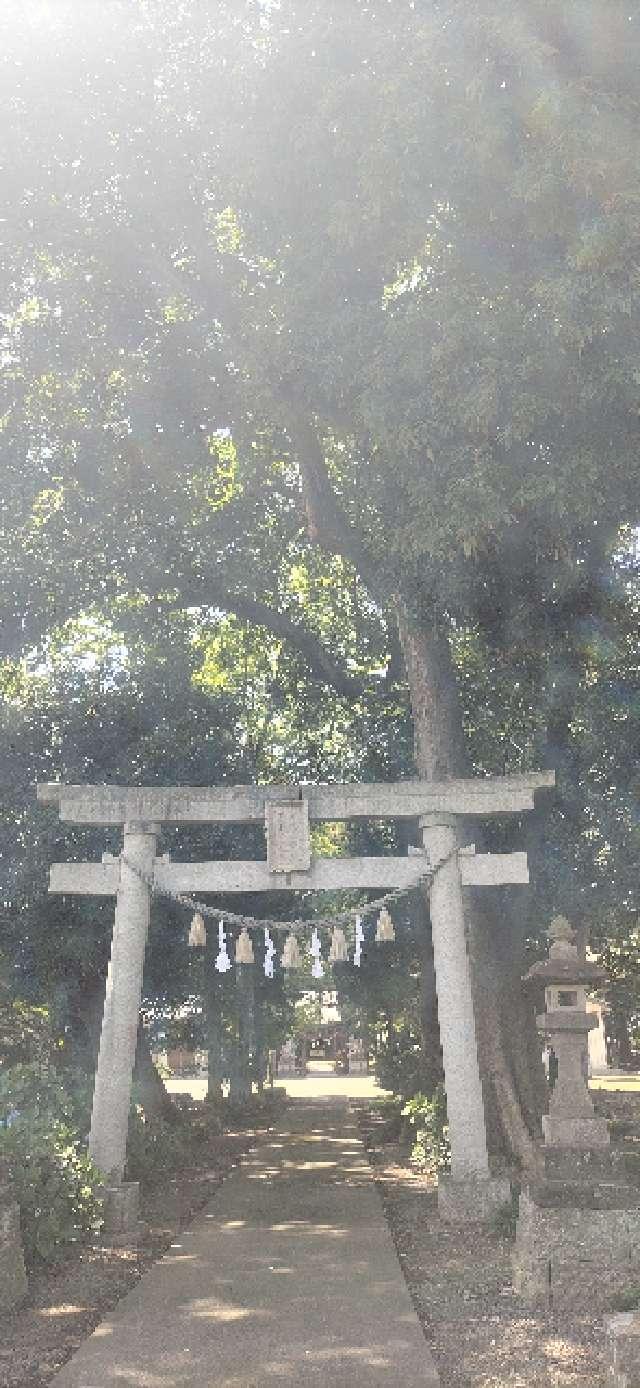 八幡神社（深谷市上野台）の参拝記録6