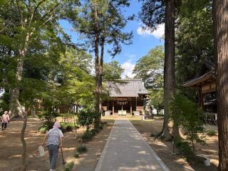 八幡神社（深谷市上野台）の参拝記録(オリーブさん)