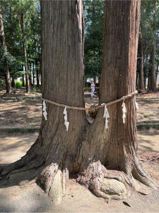 八幡神社（深谷市上野台）の参拝記録(オリーブさん)