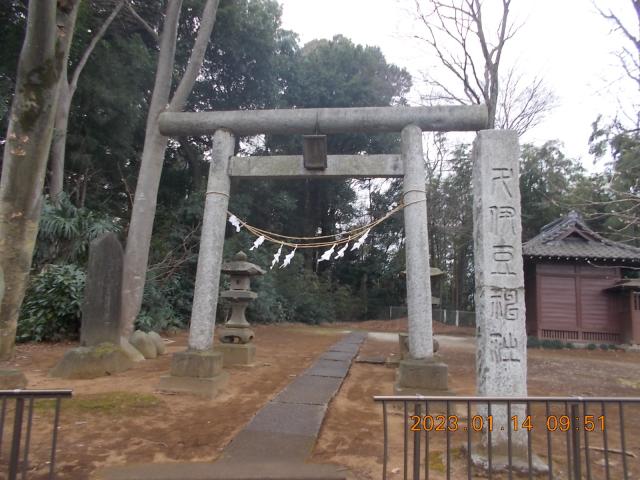 埼玉県さいたま市岩槻区箕輪63 久伊豆神社の写真3