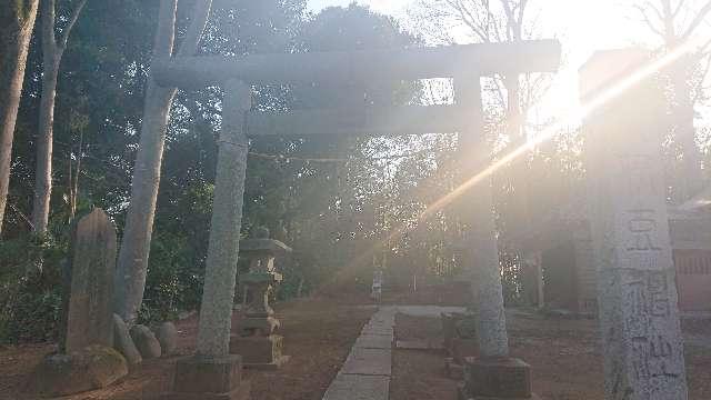 埼玉県さいたま市岩槻区箕輪63 久伊豆神社の写真2