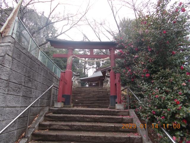 埼玉県さいたま市岩槻区上野６丁目６−８ 鷲宮神社（上野）の写真3