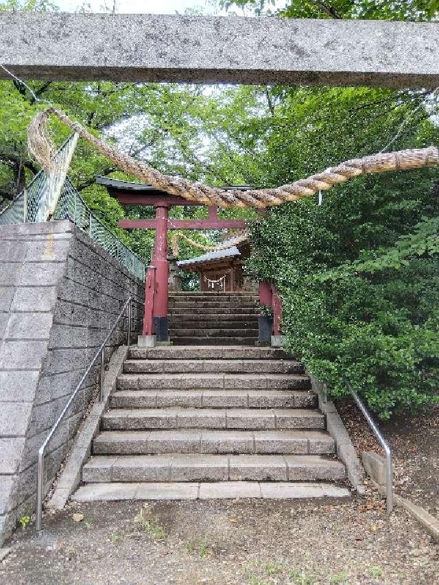 鷲宮神社（上野）の参拝記録2