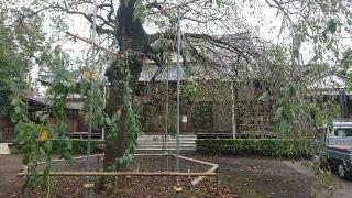 無量山 清雲院 安養寺の参拝記録(まっきーさん)