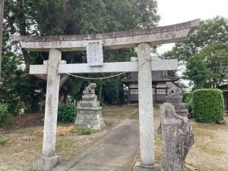 五所神社の参拝記録(レモンサワーさん)