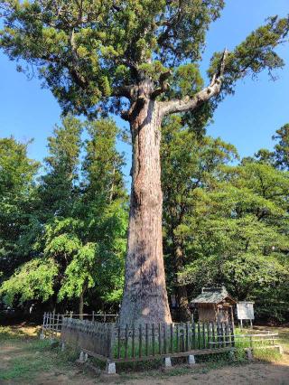 寿亀山 天樹院 弘経寺の参拝記録(zx14rさん)