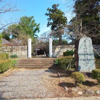 寿亀山 天樹院 弘経寺の参拝記録(しろぎすさん)