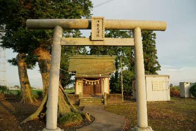 埼玉県深谷市横瀬337 伊勢大神社の写真1