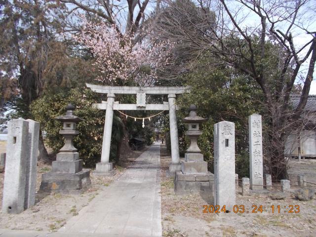 埼玉県深谷市上手計216 二柱神社の写真2
