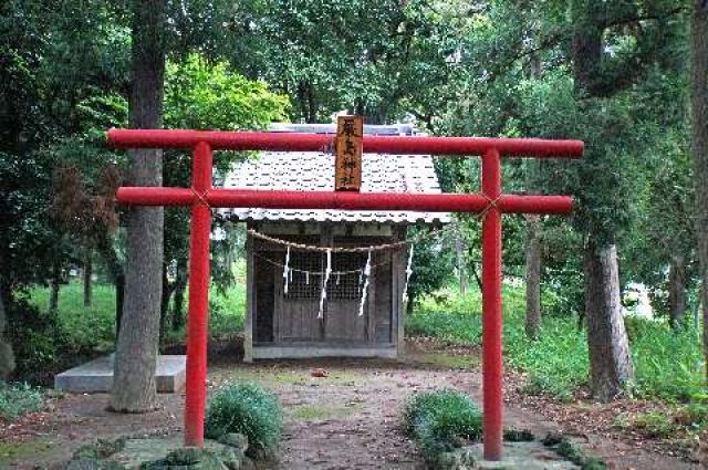 埼玉県深谷市普済寺903 厳島神社の写真1